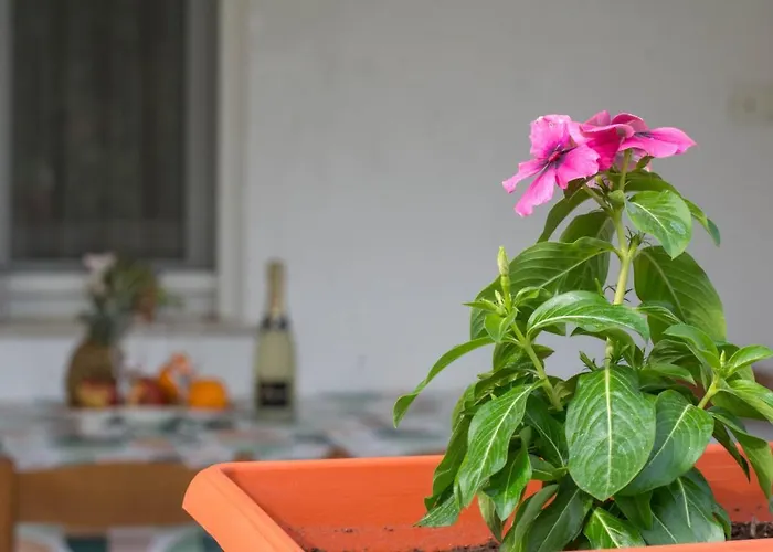 Luce Mala Apartamento